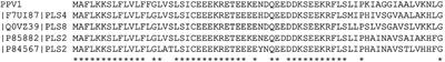 A Novel Amphibian Antimicrobial Peptide, Phylloseptin-PV1, Exhibits Effective Anti-staphylococcal Activity Without Inducing Either Hepatic or Renal Toxicity in Mice